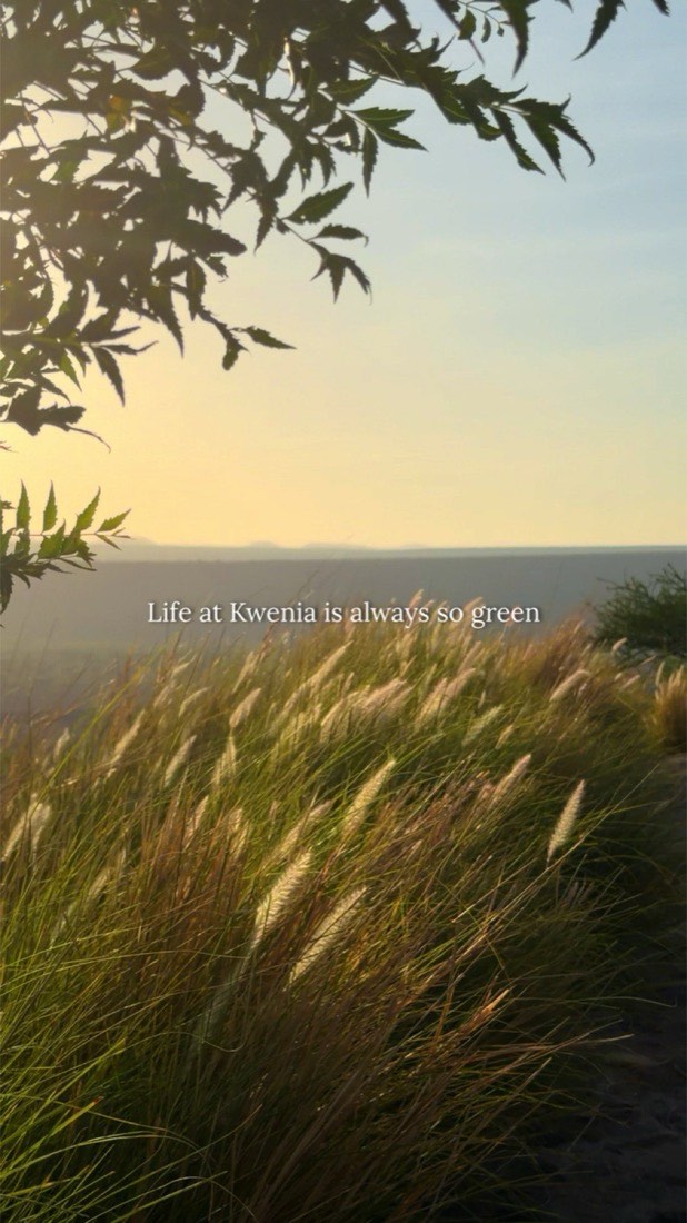 Golden-hour grass field overlooking the valley at Kwenia