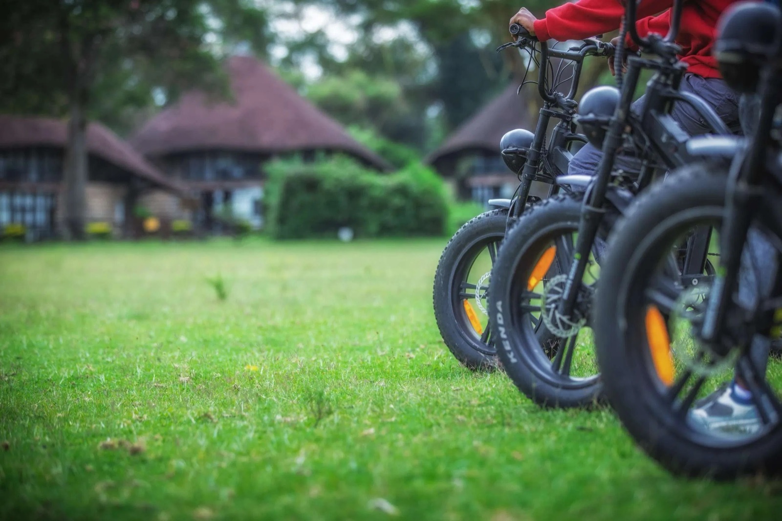 Fat-tyre bikes lined up on the lodge lawn