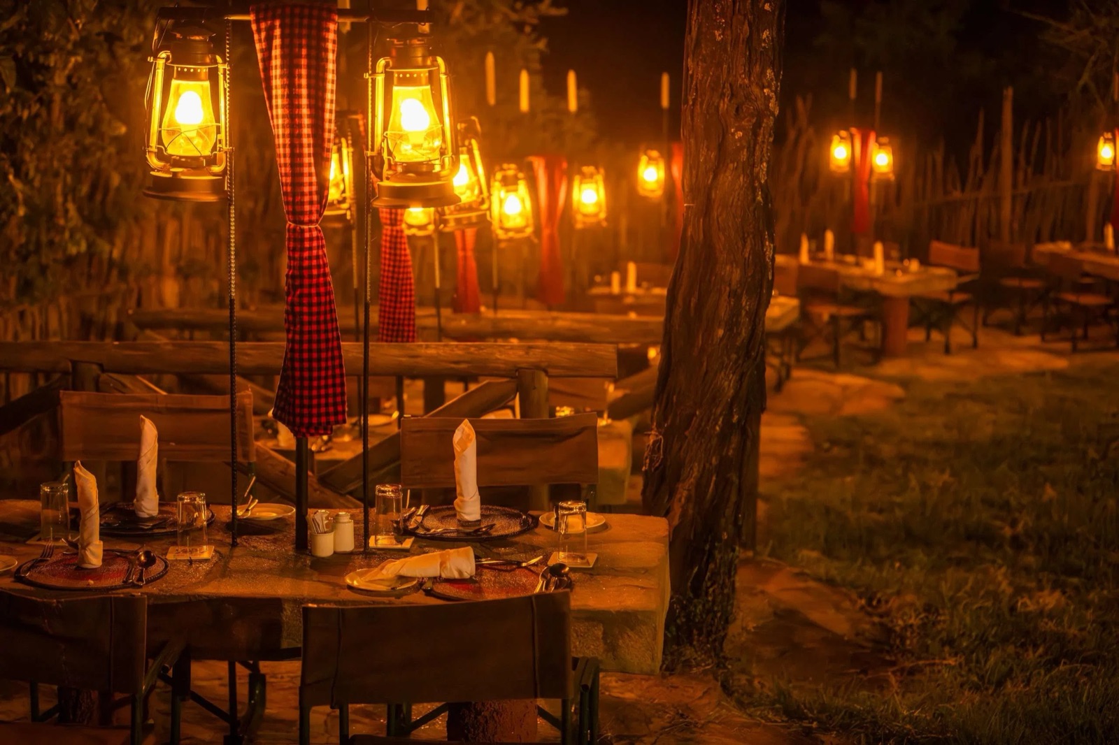 Lantern-lit bush dinner set among the trees