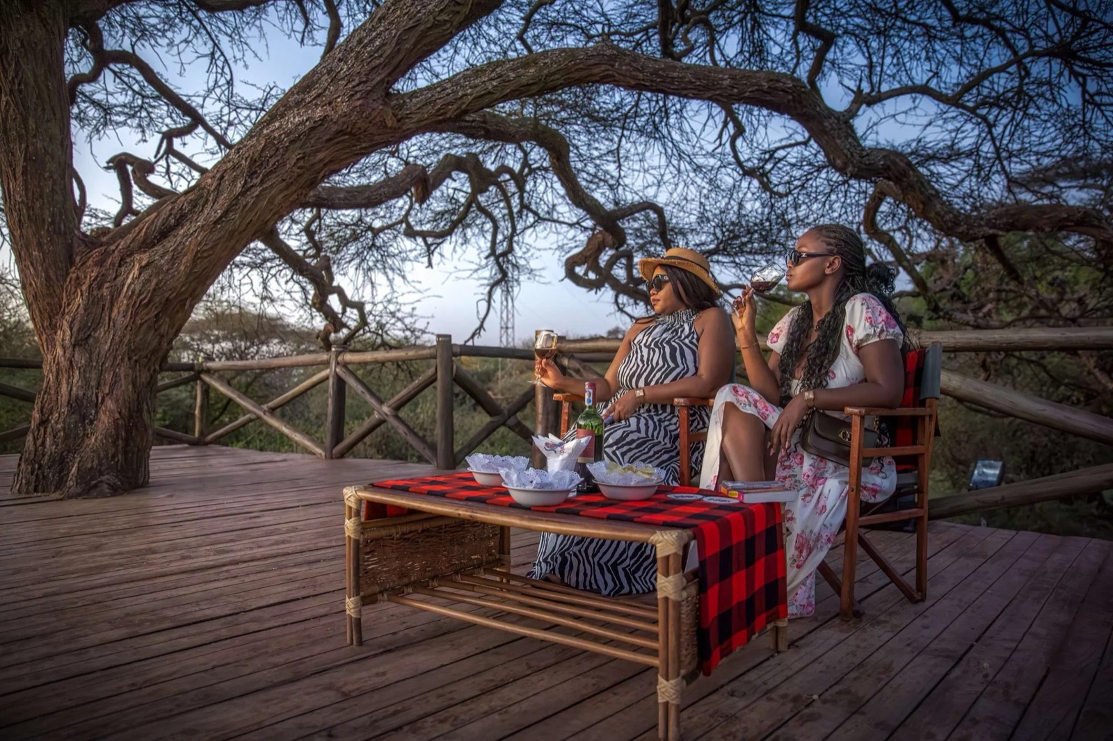 Guests relaxing on a deck under an acacia